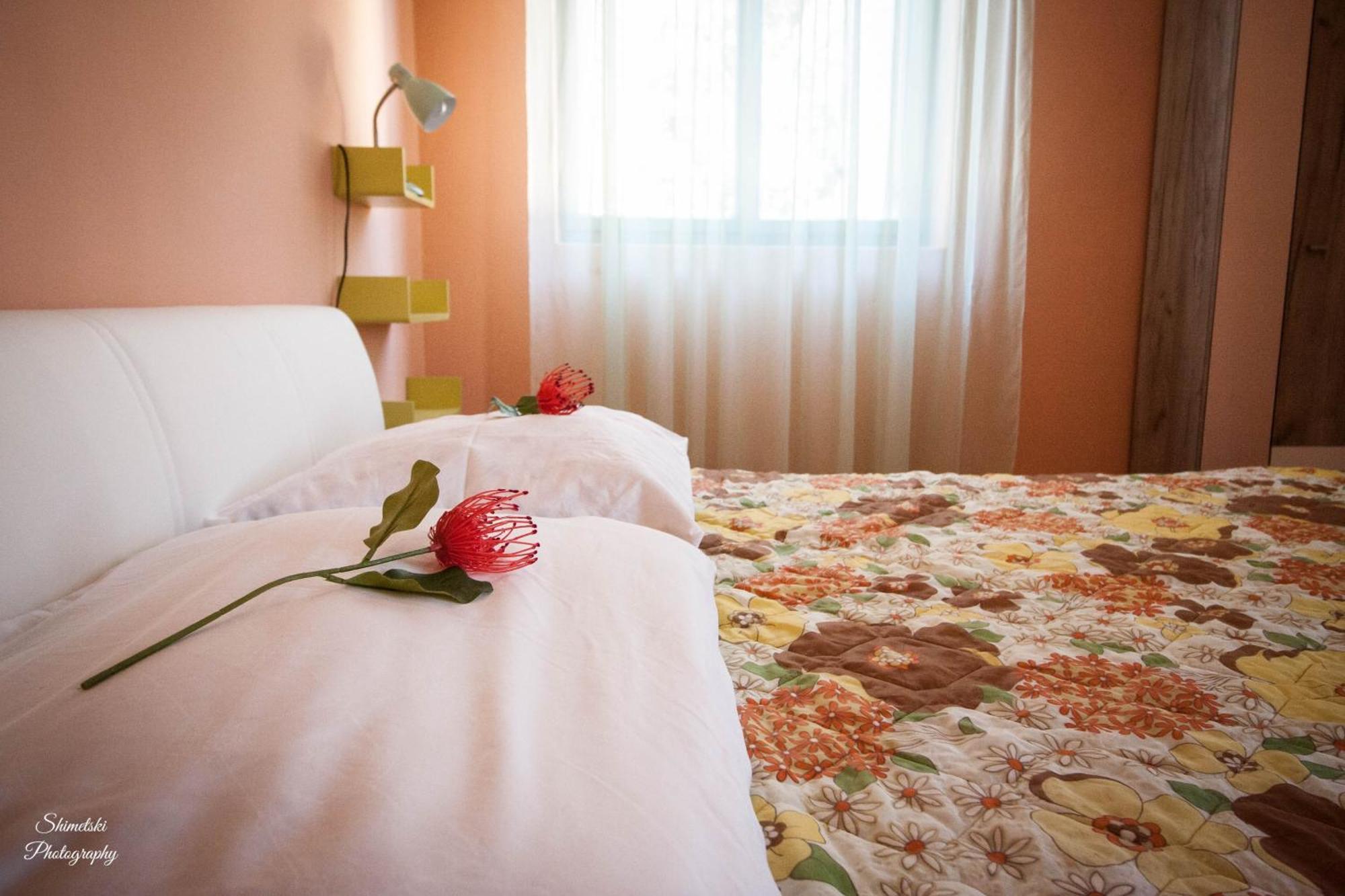 Apartments By The Sea Zavalatica, Korcula - 247 部屋 写真